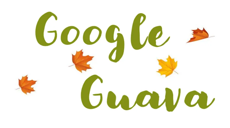 Google Guava Math Utilities: Mathematical Operations and Statistics